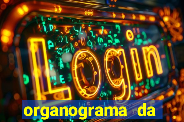 organograma da cacau show